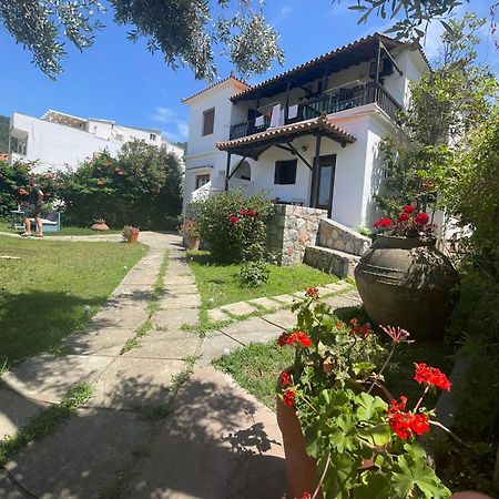 Eleni Del Sol Apartment Skopelos Town Exterior photo